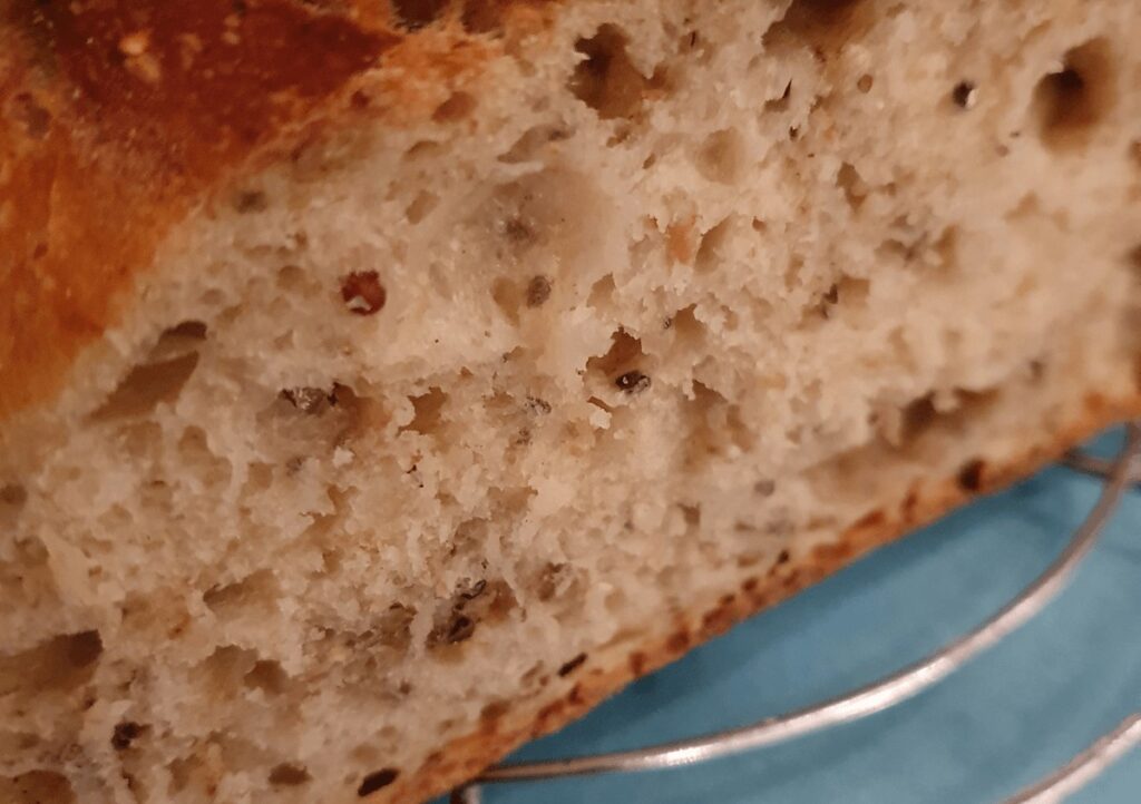 Brot